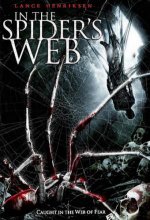 Паутина зла / In the Spider's Web